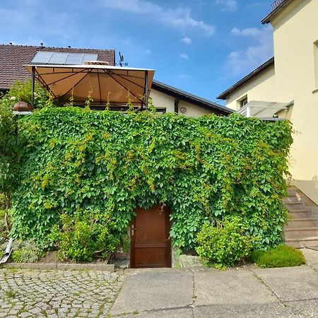 Apartamento Wolfsbergblick Reinhardtsdorf-Schona Exterior foto
