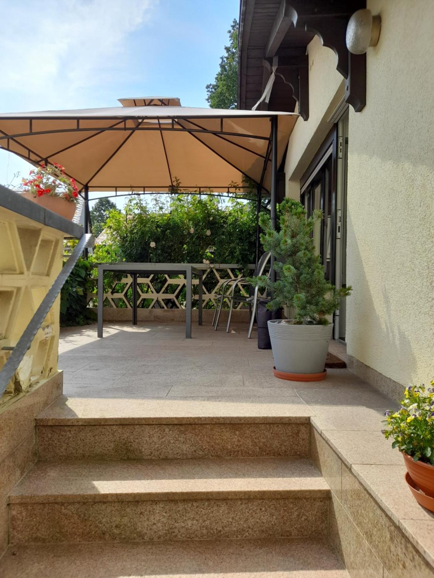 Apartamento Wolfsbergblick Reinhardtsdorf-Schona Exterior foto